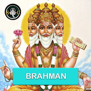 Brahaman