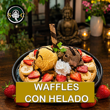 Waffles con Helado