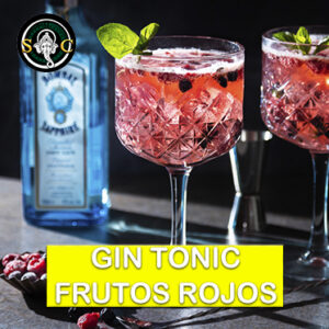 Gin Tonic Frutos Rojos